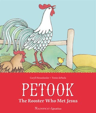 Petook